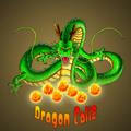 Dragon Callz™ CMS & NFT
