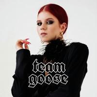 team goose 🚀