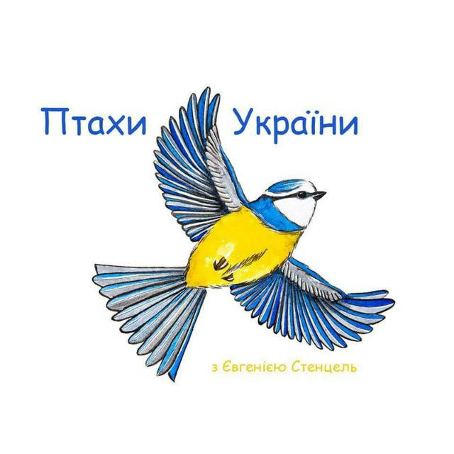 Птахи України