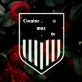 ☫ Cocaine muz | music ☊ | ☫