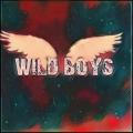 ＷＩＬＤ ＢＯＹＳ