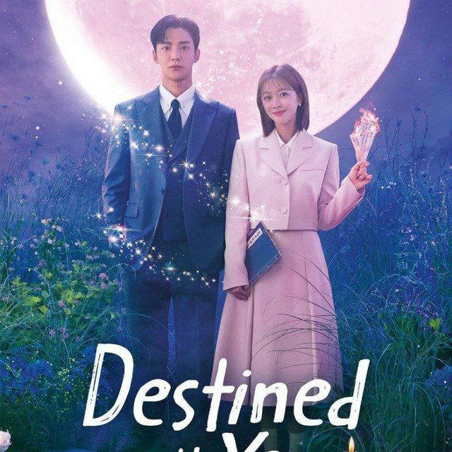 DESTINED WITH YOU IN HINDI