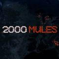 2000MULES