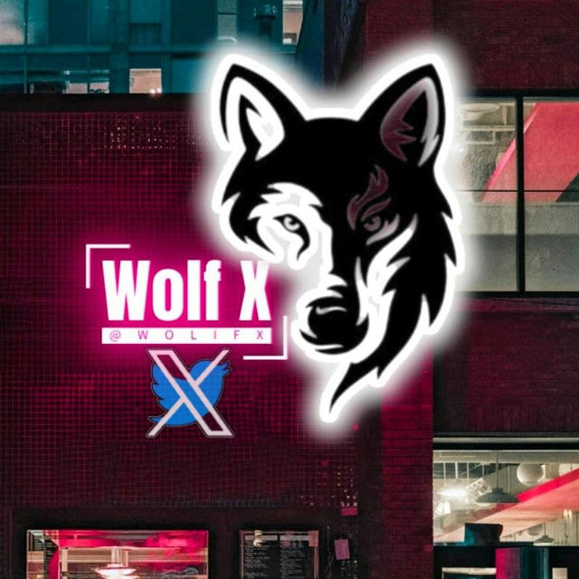 Wolf X | وُلفکیس