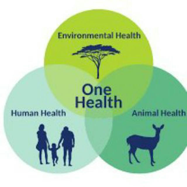 Onehealth (سلامت محیط زیست (سلامت واحد