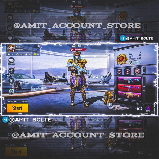 AMIT ACCOUNT STORE