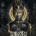 WAKANDA FOREVER 🔥📽️