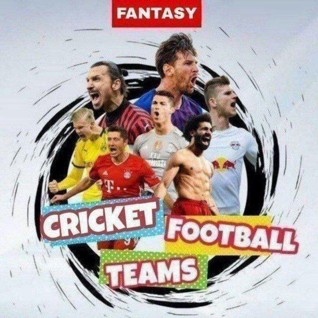 Fantasy cricket football team