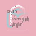 🤍crush of shahed🤍
