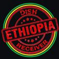 Ethiopian Dish & Receiver📡📡