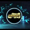 Eurohockey NHL
