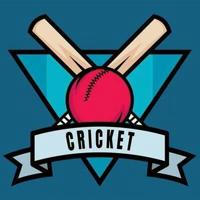 Cricket Betting Report 🏏🏏