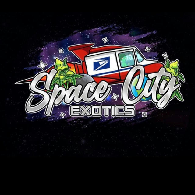 spacecityexotic