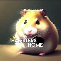 hamsters_home