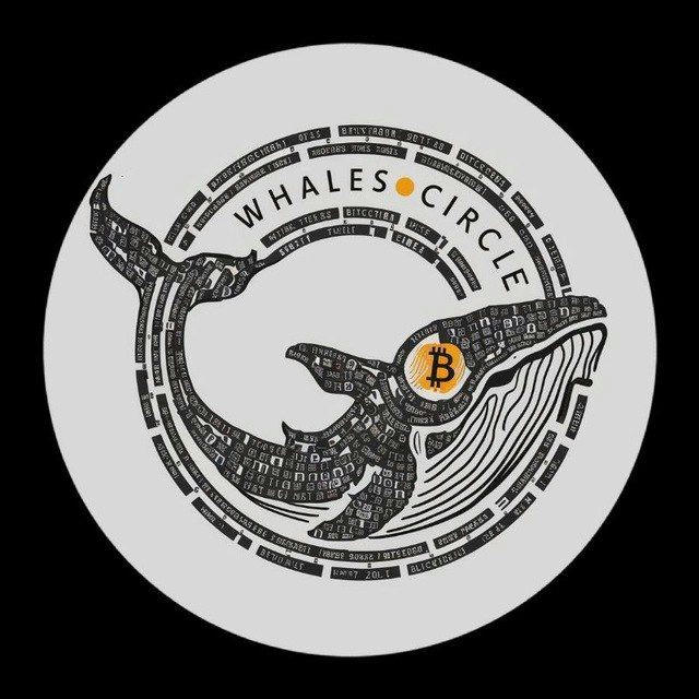 WHALES CIRCLE