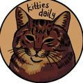 kitties daily