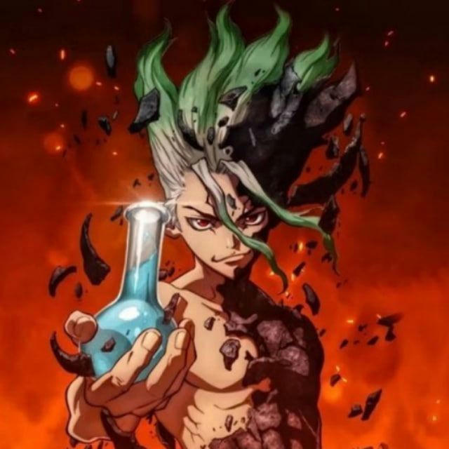 Dr stone All season