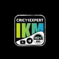CRIC11 EXPERT (IKM)