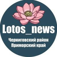 Lotos NEWS