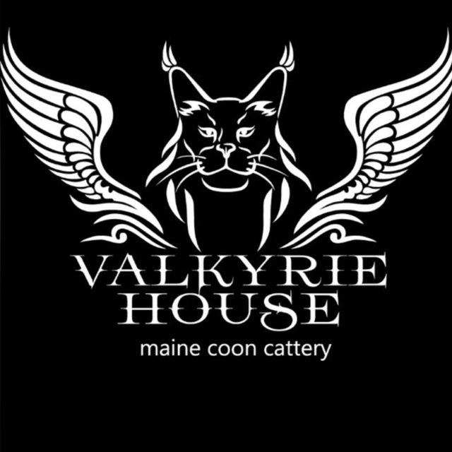 ValkyrieHouse