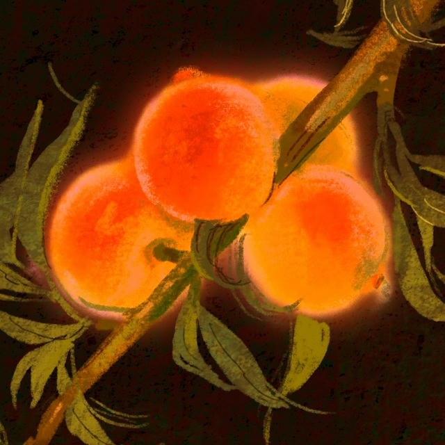 Персиковый источник | Фестиваль