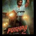Pushpa 2 Bollywood Hollywood Movies