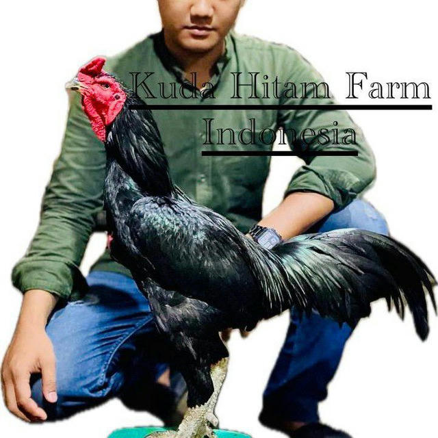 Kuda Hitam Farm Official Channel ( KHF Jombang)