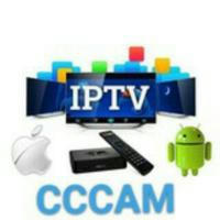 Premium cccam channel