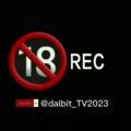 DALBIT_TV