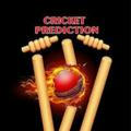 Cricket PREDICTION Fixed reports