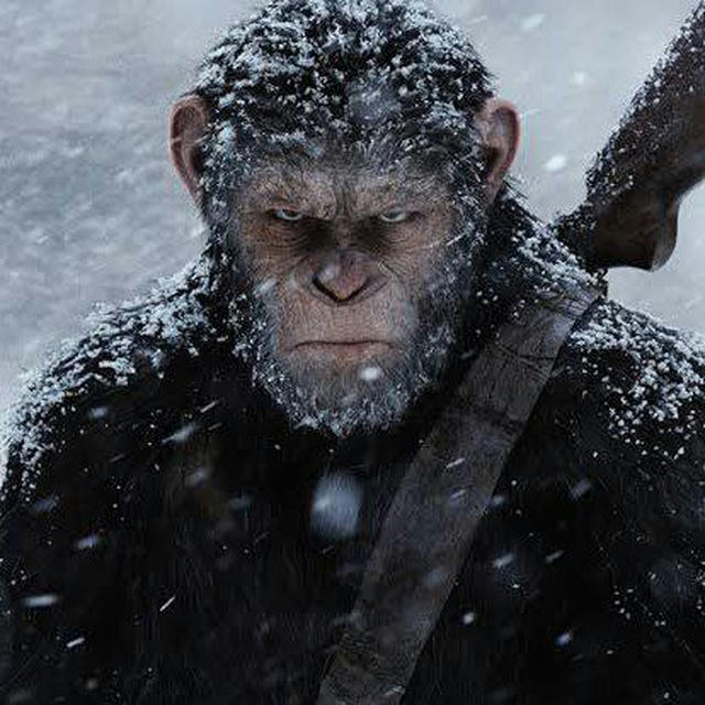 War for the planet of the apes Sub indo