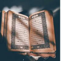 📗 الختمات القرآنية المباركة
