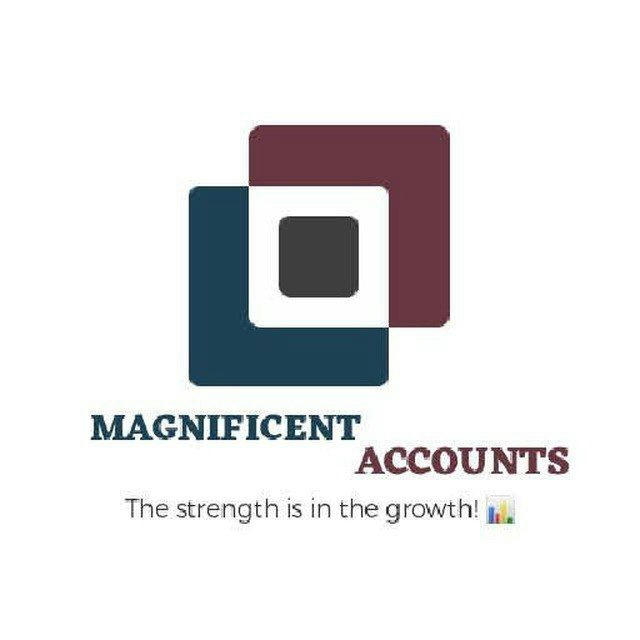 Magnificent Accounts Store (TWITTER)