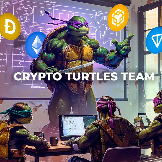 Crypto Turtles Team