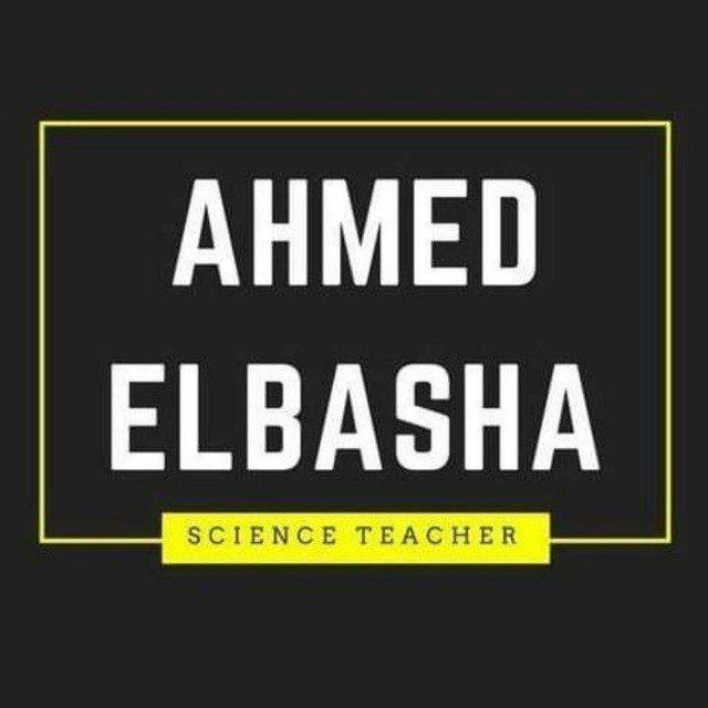 KG 2 | Discover | Mr.Ahmed ElBasha