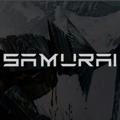 SAMURAI portfolio