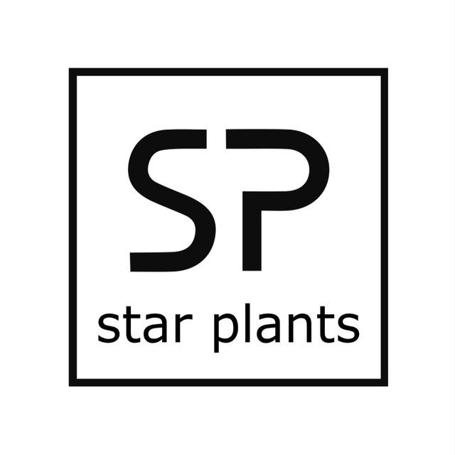 Star plants