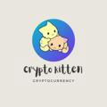 🐱 crypto kitten Channel 🐱