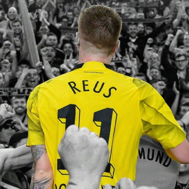 КРИБ | Borussia Dortmund 🐝