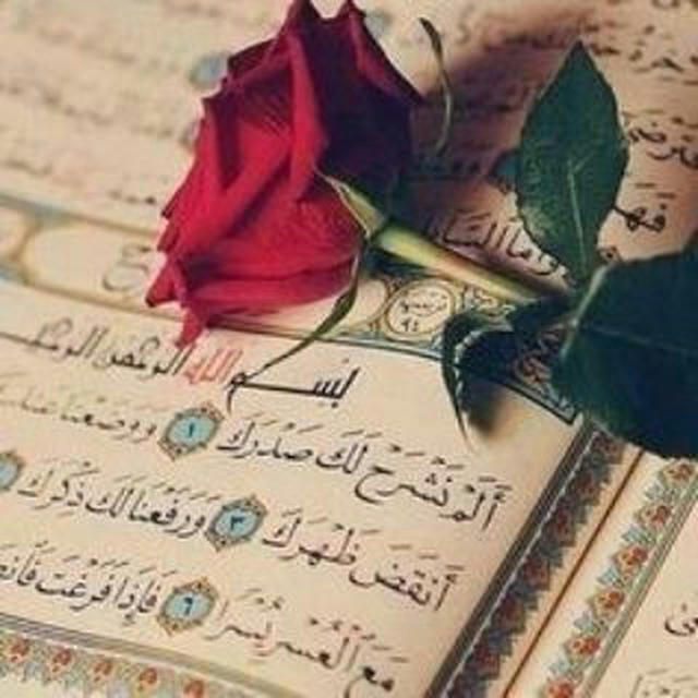 • قرآن | Quran •