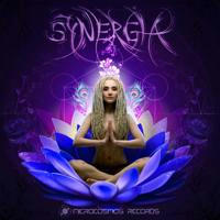 DJ Synergia (Microcosmos Records)