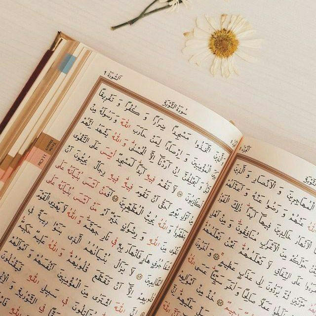 Qur'on Maruzalar Namoz Oqish