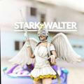 STARKxWALTER ACCOUNT STORE