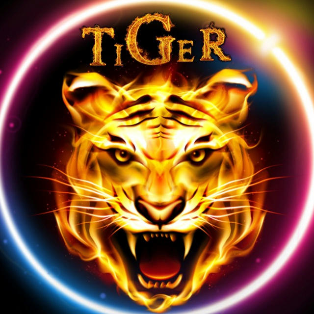 TIGER FEEDBACK