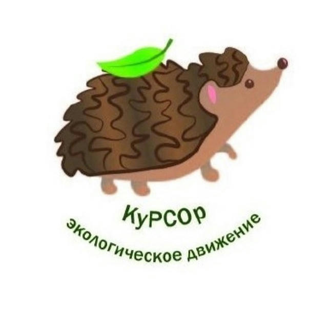 КуРСОр эко-движение Томска