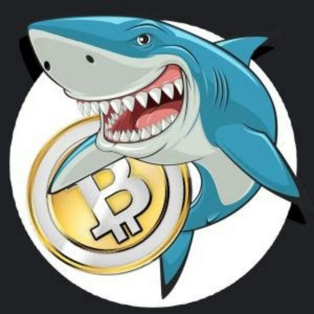 Crypto Shark UA🇺🇦