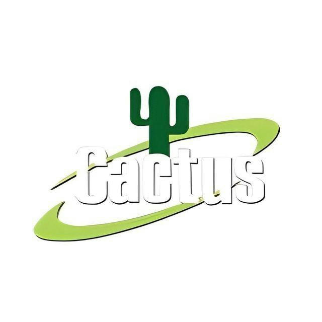 vpn cactus