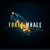 FOREX WHALE 🐳