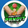 Fantntasy Pandit team