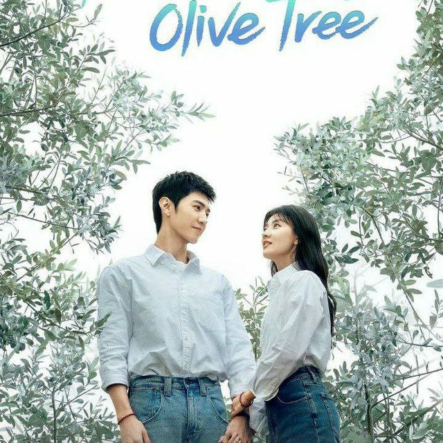 The White Olive Tree ( 2025 )